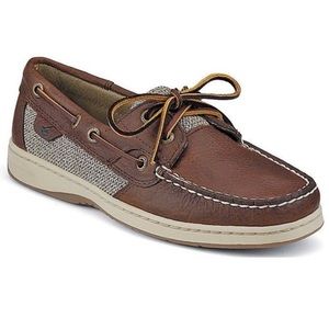 Bluefish 2 Eye Brown